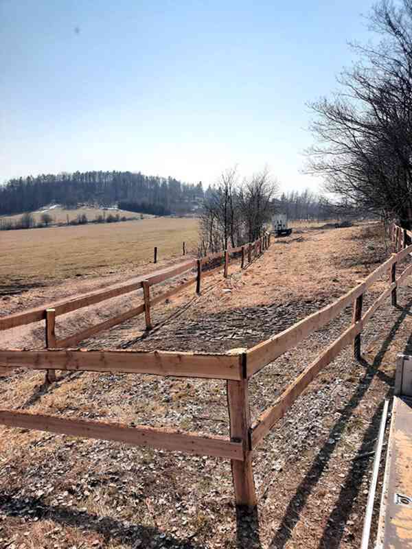 Dubové kůly - foto 6