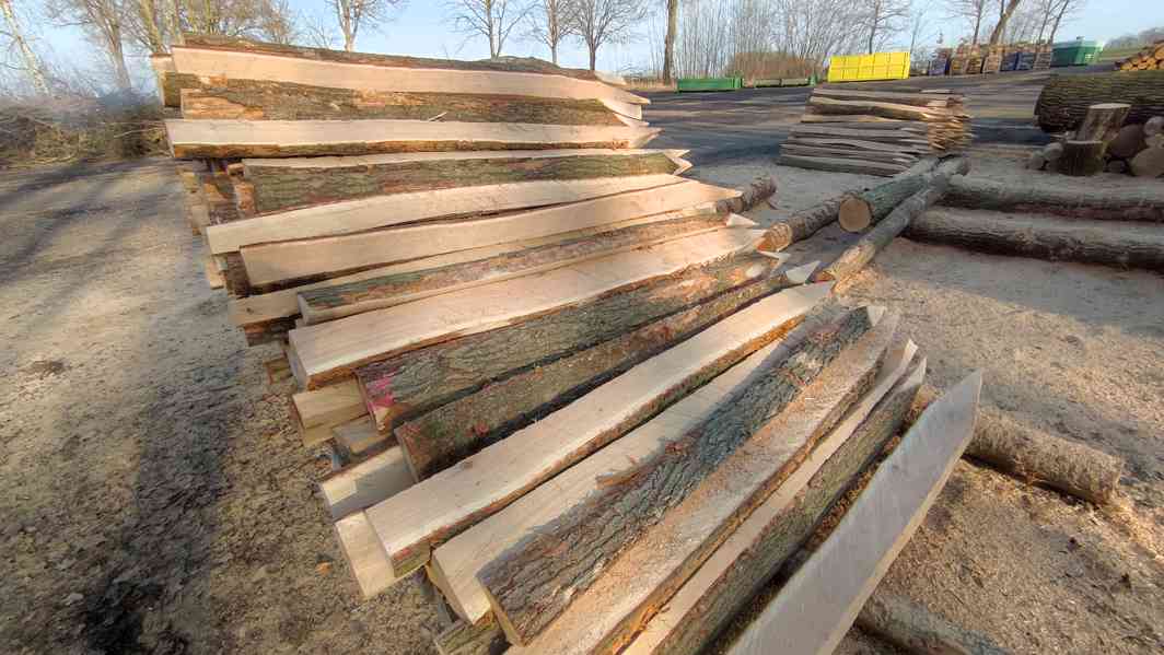 Dubové kůly - foto 3