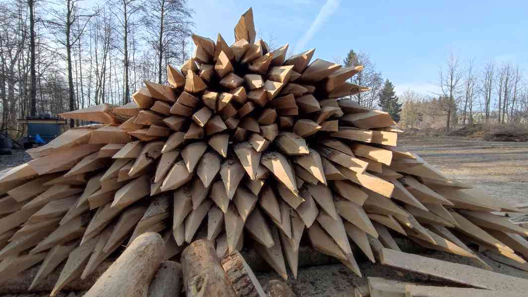 Dubové kůly - foto 1