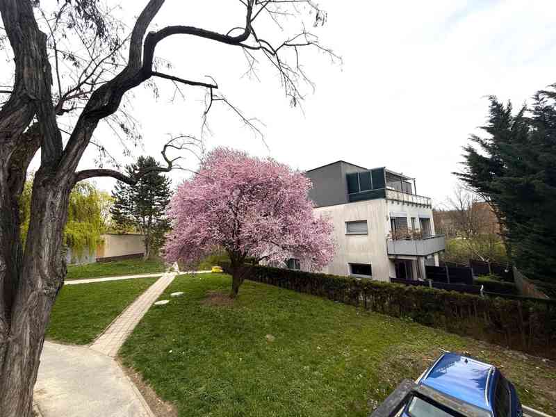 PRONÁJEM PROSTORNÉHO BYTU 3+1 S LODŽIÍ A SKLEPEM, BRNO - foto 2