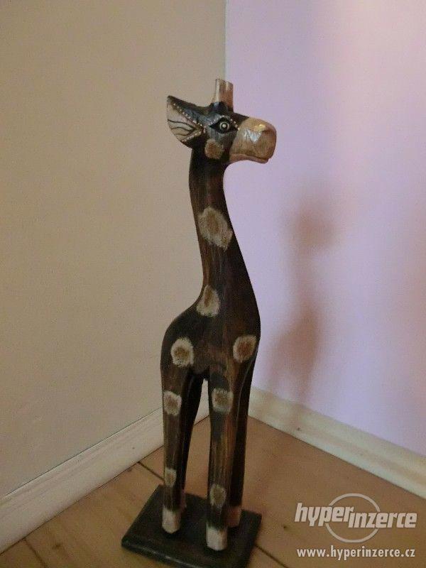 Žirafa- Egypt - foto 1