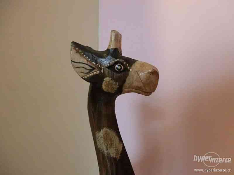 Žirafa- Egypt - foto 2