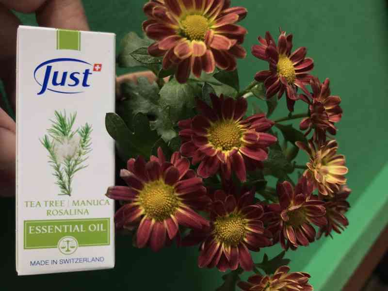 Just Tea Tree olej s manukou a rosalinou 10ml - foto 3