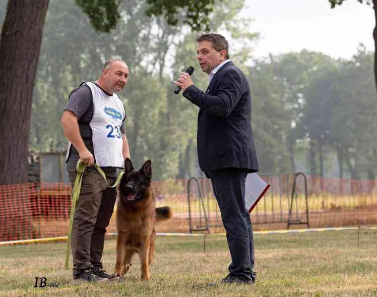 Německý ovčák - štěňátka s PP - foto 8