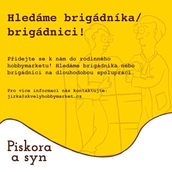 Brigáda v hobby marketu Solnice - foto 1