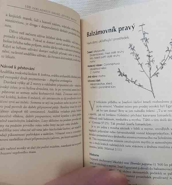 Velká kniha léčivých rostlin - foto 3