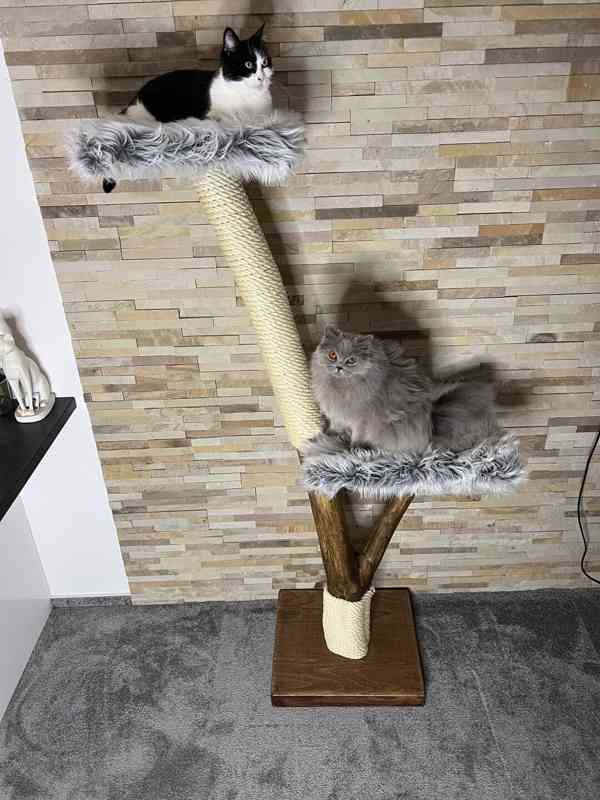 Škrabadla pro kočky ze dřeva - foto 2