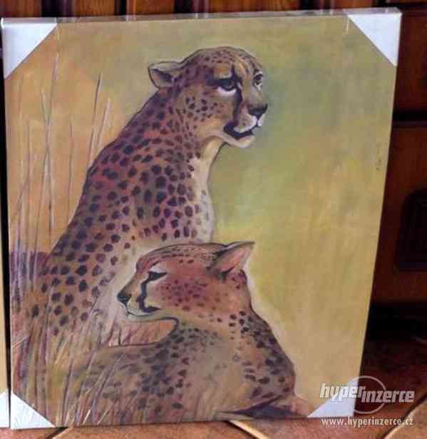 Obraz na canvasovém plátně - Gepardi 55 x 45,5 - foto 1