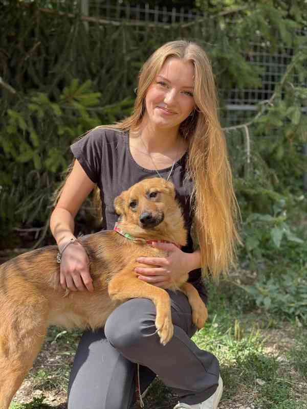 ABBYNKA - do 15 kg, kastrovaná fenečka 1 rok  - foto 1