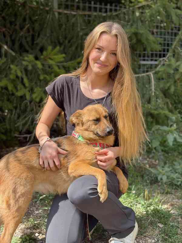 ABBYNKA - do 15 kg, kastrovaná fenečka 1 rok  - foto 4