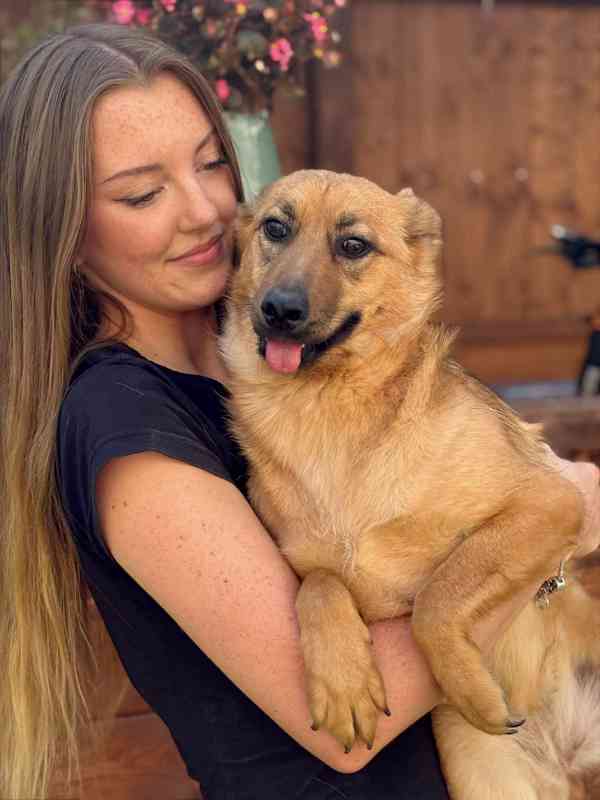 ABBYNKA - do 15 kg, kastrovaná fenečka 1 rok  - foto 2