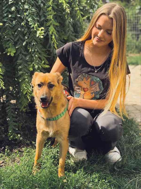ABBYNKA - do 15 kg, kastrovaná fenečka 1 rok  - foto 6
