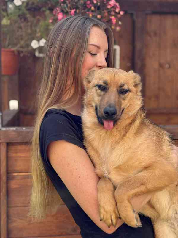 ABBYNKA - do 15 kg, kastrovaná fenečka 1 rok  - foto 3