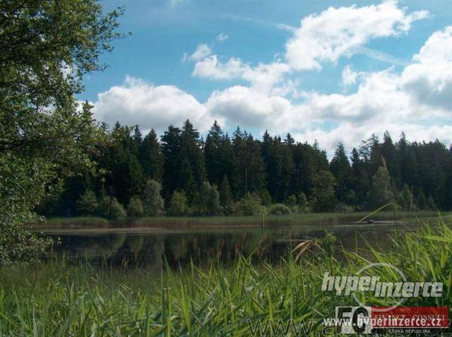 Funkční rybník 1,5 ha pod lesem s loukou, Mýtinky - foto 2