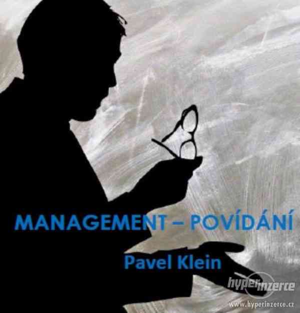 Poradenství pro management firmy - foto 1