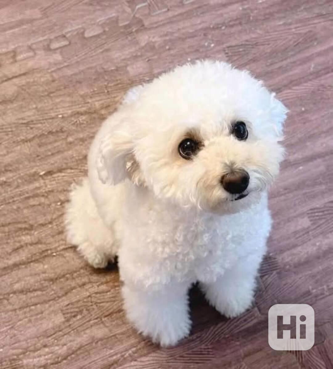 K dispozici k vyzvednutí - foto 1