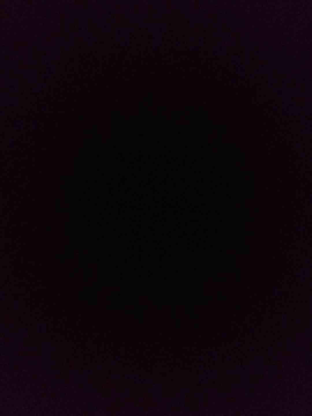 Vodítko pro psy a koně (bez karabinky) - foto 1