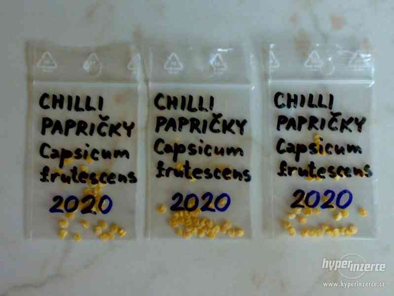 Chilli papričky - Capsicum frutescens - 20 semen - foto 3