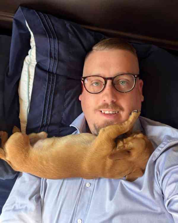 Rozkošný čivava pejsek hledá nový domov. - foto 4