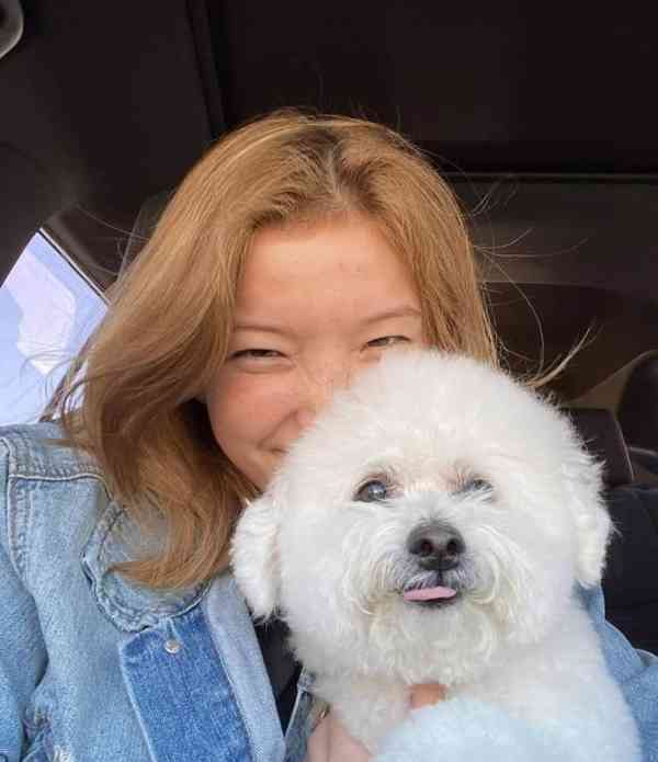 Prodáváme čistokrevného bišonka - foto 4