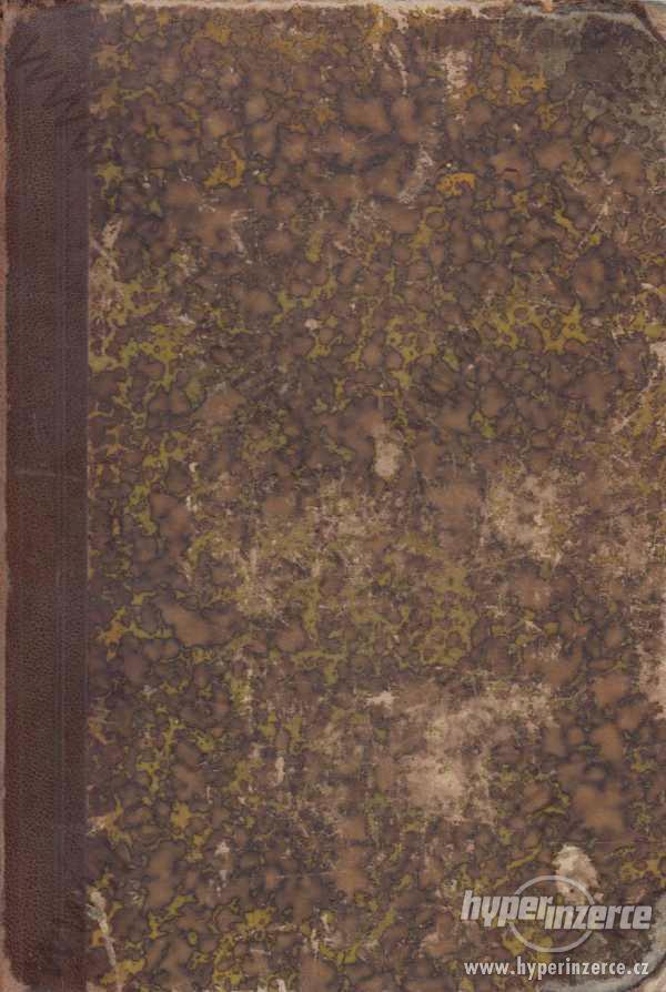 Handbuch der Geisteskrankheiten Krafft-Ebing 1878 - foto 1