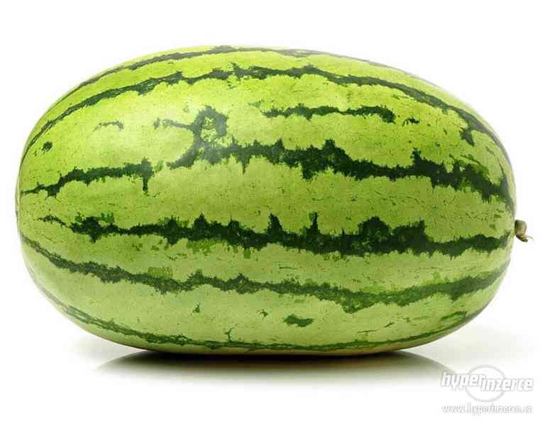 Vodní meloun Cobb Gem - semena - foto 1