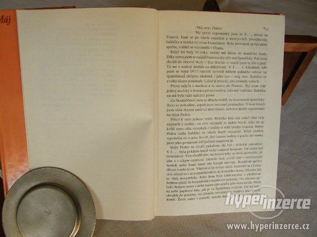 Mexikán - foto 4