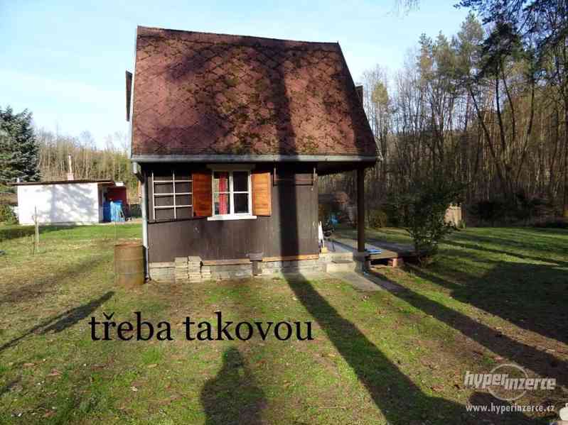 Koupím chatu/chalupu v okolí Brna - foto 1