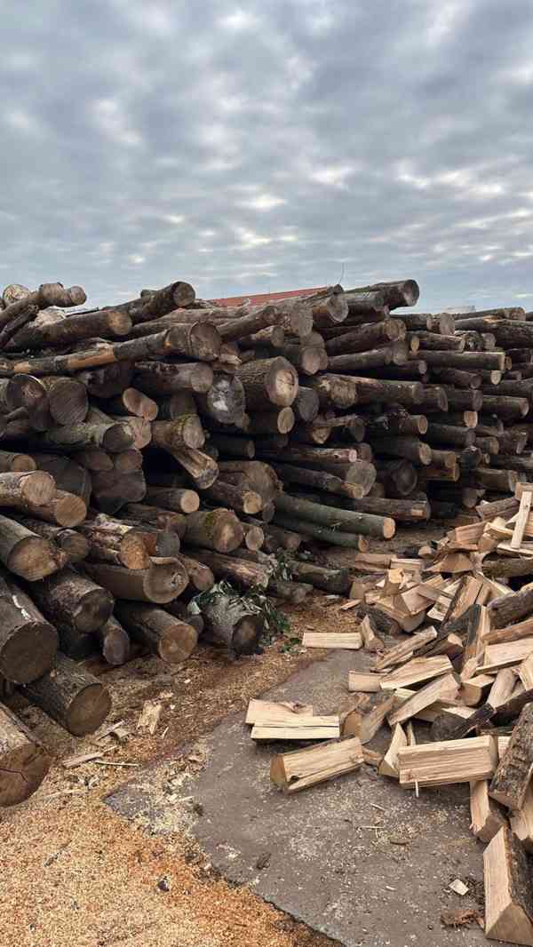 AKCE Štípané polosuché palivové dřevo tvrdé 33 cm - foto 3