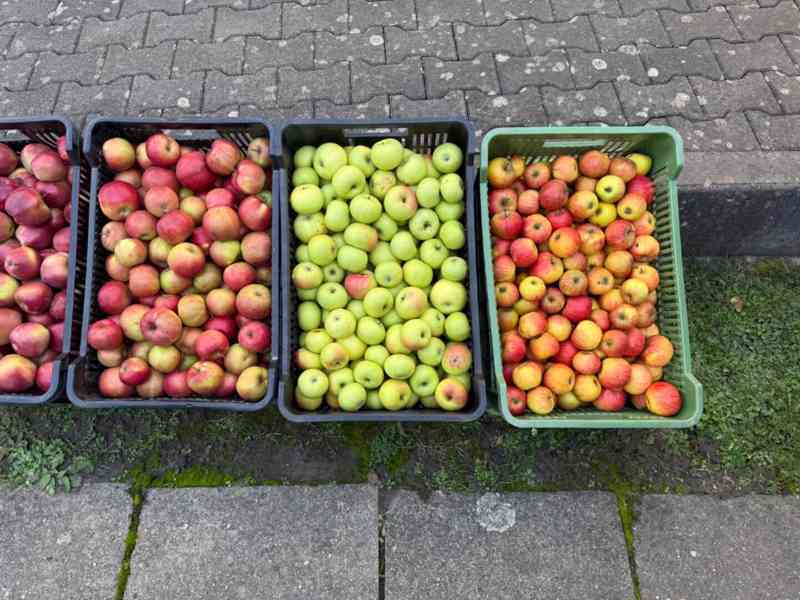 Česaná jablka - foto 2