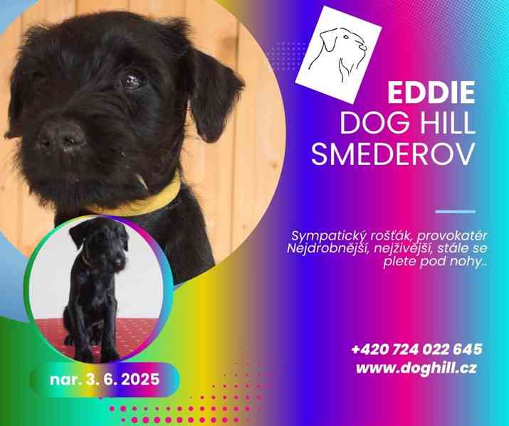Knírač střední černý s PP - foto 5