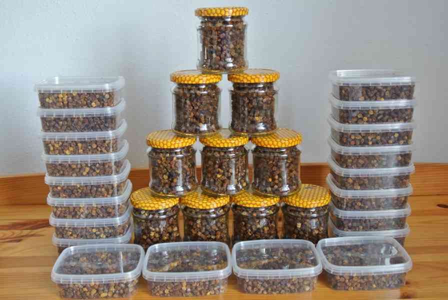 Plástový pyl PERGA - AMBROSIE - foto 3