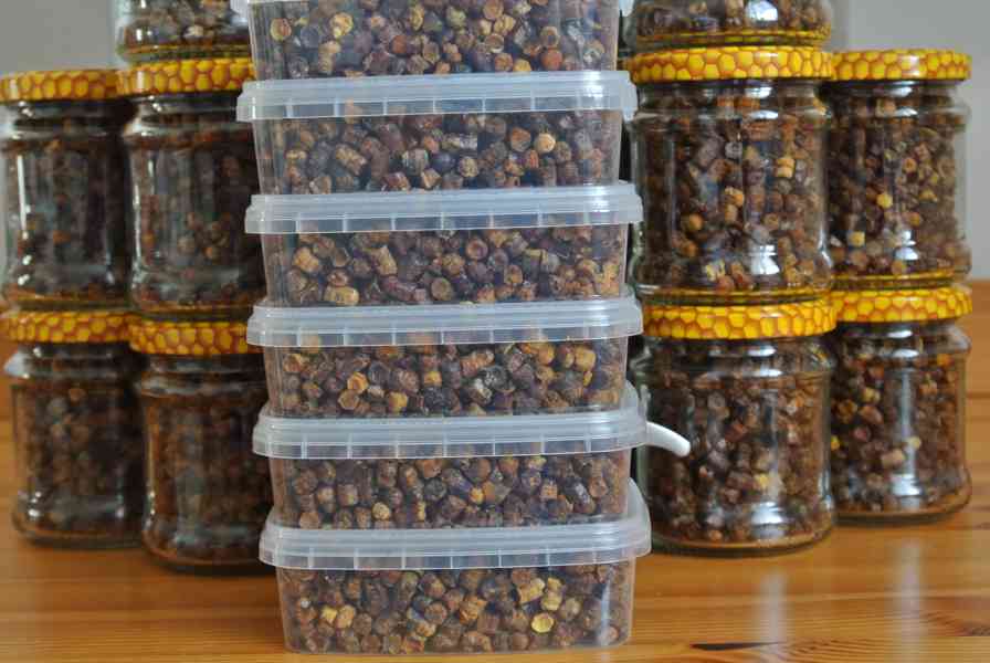 Plástový pyl PERGA - AMBROSIE - foto 4