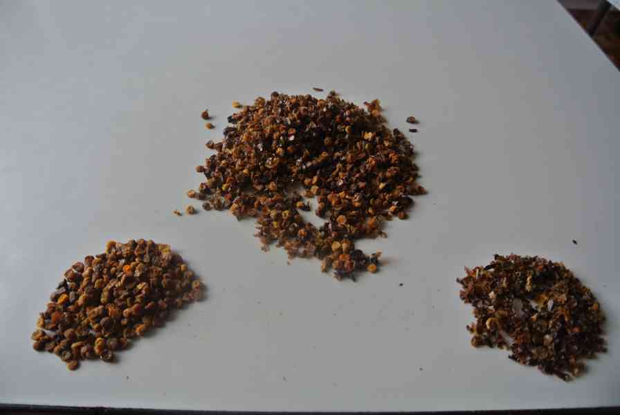 Plástový pyl PERGA - AMBROSIE - foto 5