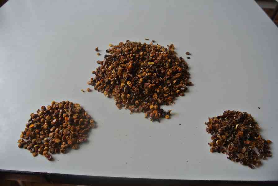 Plástový pyl PERGA - AMBROSIE - foto 2