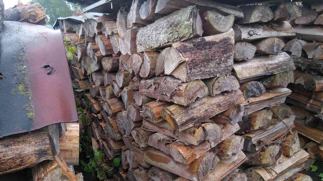 palivové dřevo suché štípané sypané měkké  - foto 3