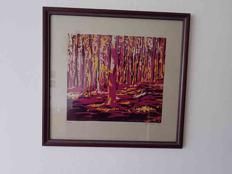 Prodám obrazy - foto 2