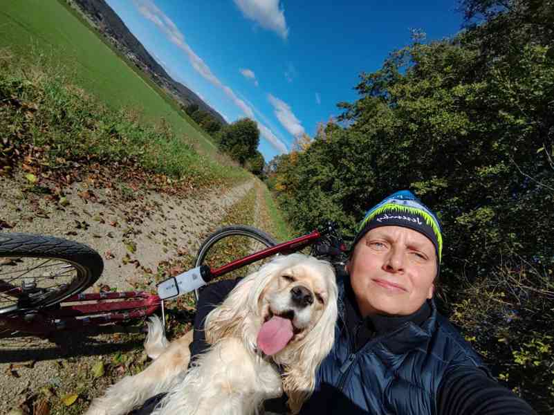 Kokršpaněl americký krytí bez PP- hledáme kluka, kokr - foto 2