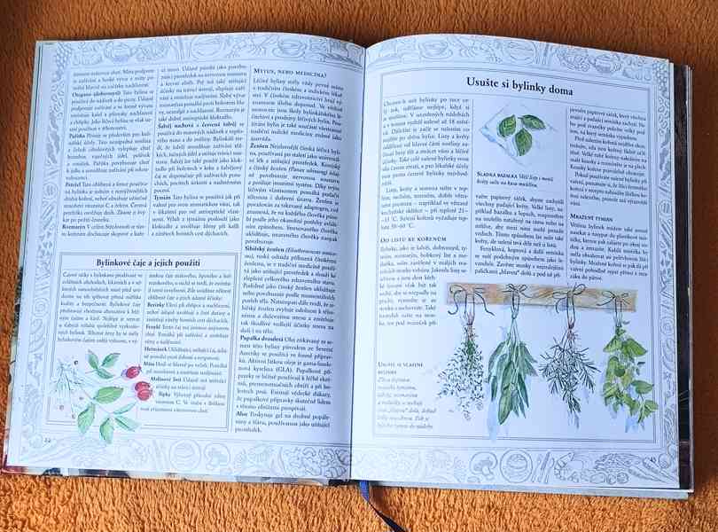Kniha: "JÍDLO JAKO JED, JÍDLO JAKO LÉK". Top stav ! 400 str. - foto 13