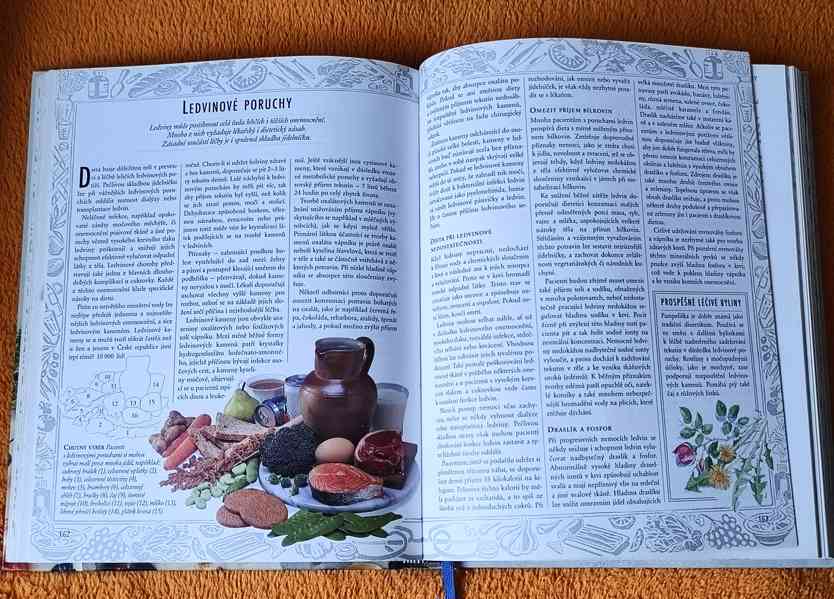 Kniha: "JÍDLO JAKO JED, JÍDLO JAKO LÉK". Top stav ! 400 str. - foto 9