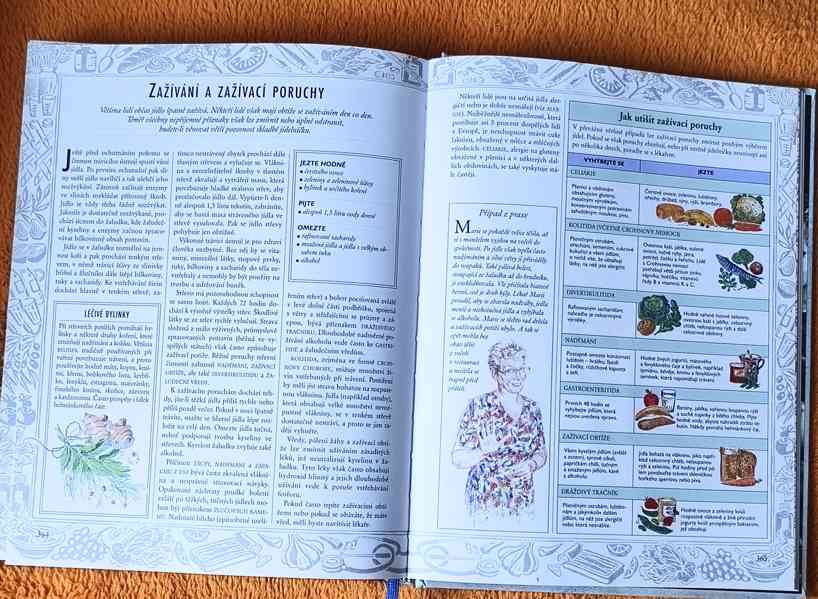 Kniha: "JÍDLO JAKO JED, JÍDLO JAKO LÉK". Top stav ! 400 str. - foto 5