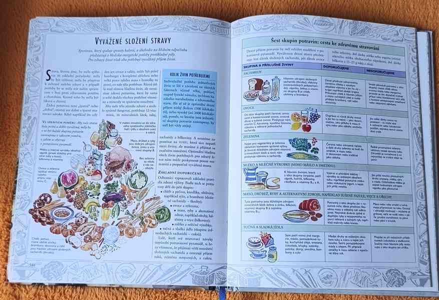 Kniha: "JÍDLO JAKO JED, JÍDLO JAKO LÉK". Top stav ! 400 str. - foto 6