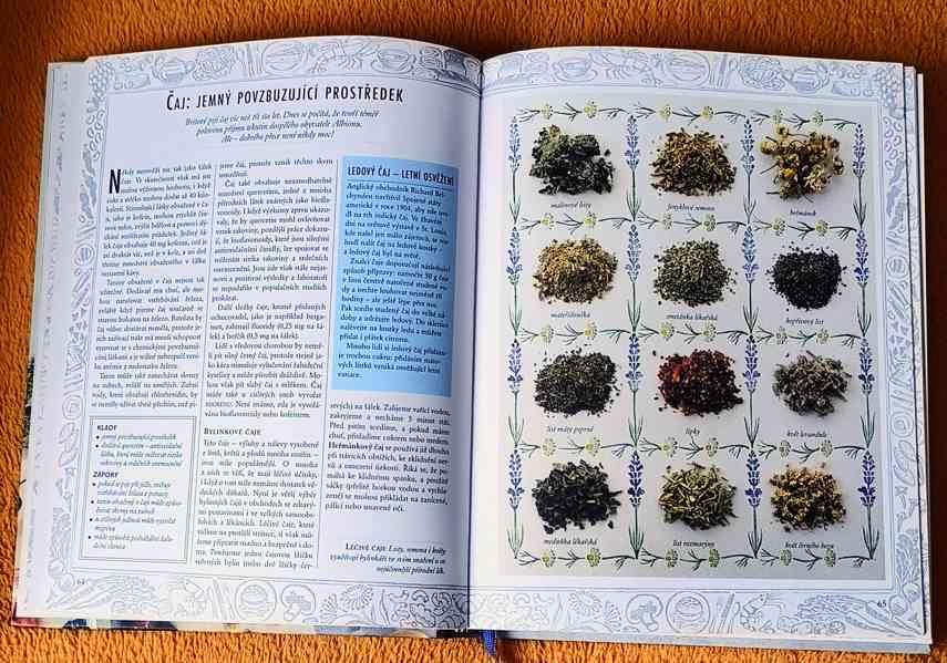 Kniha: "JÍDLO JAKO JED, JÍDLO JAKO LÉK". Top stav ! 400 str. - foto 14