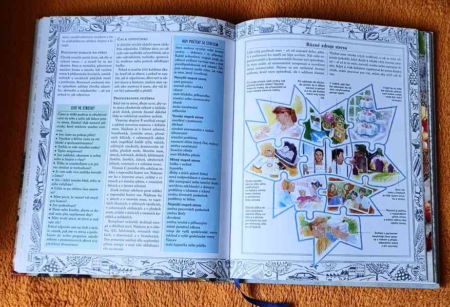 Kniha: "JÍDLO JAKO JED, JÍDLO JAKO LÉK". Top stav ! 400 str. - foto 7