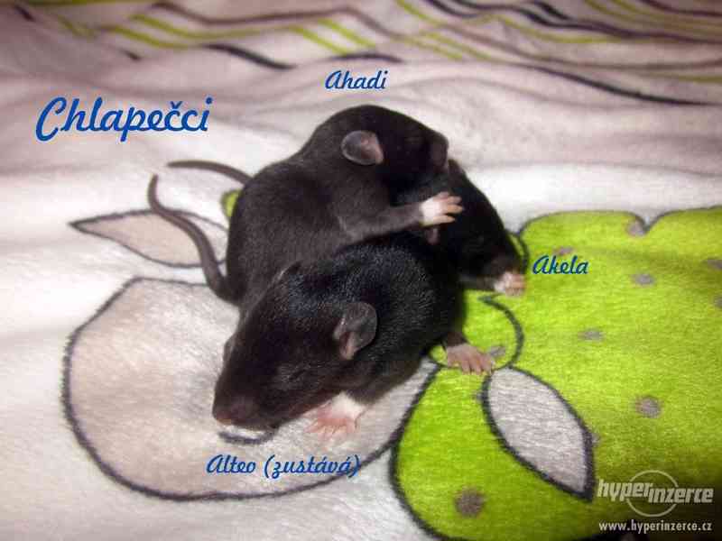 Rezervace na potkaní miminka - foto 2