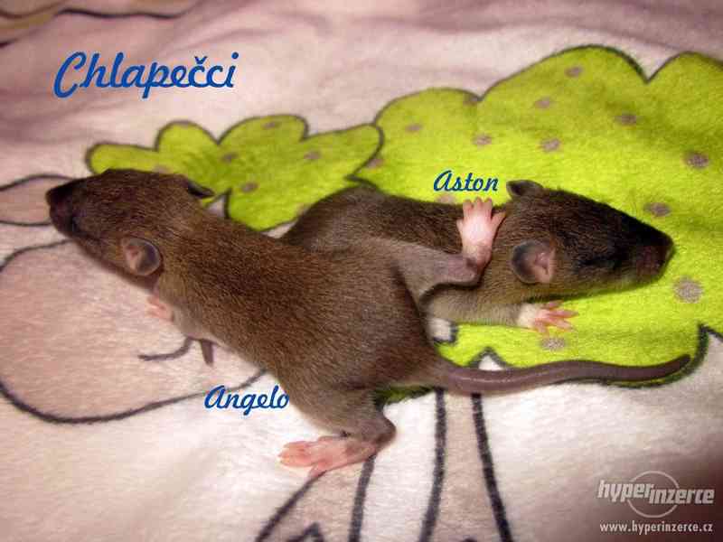 Rezervace na potkaní miminka - foto 3