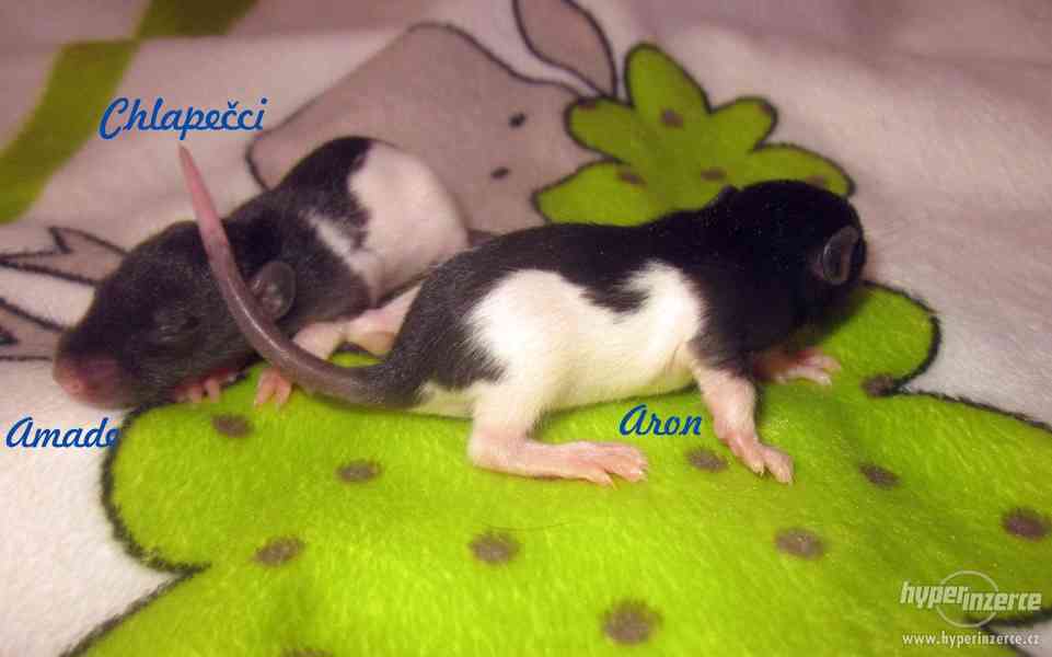 Rezervace na potkaní miminka - foto 4
