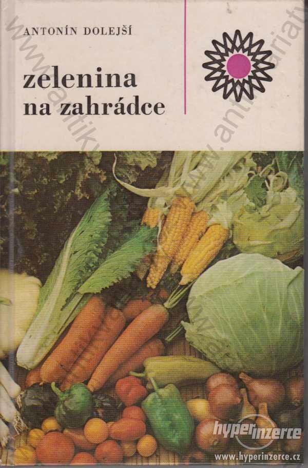 Zelenina na zahrádce Antonín dolejší 1986 - foto 1