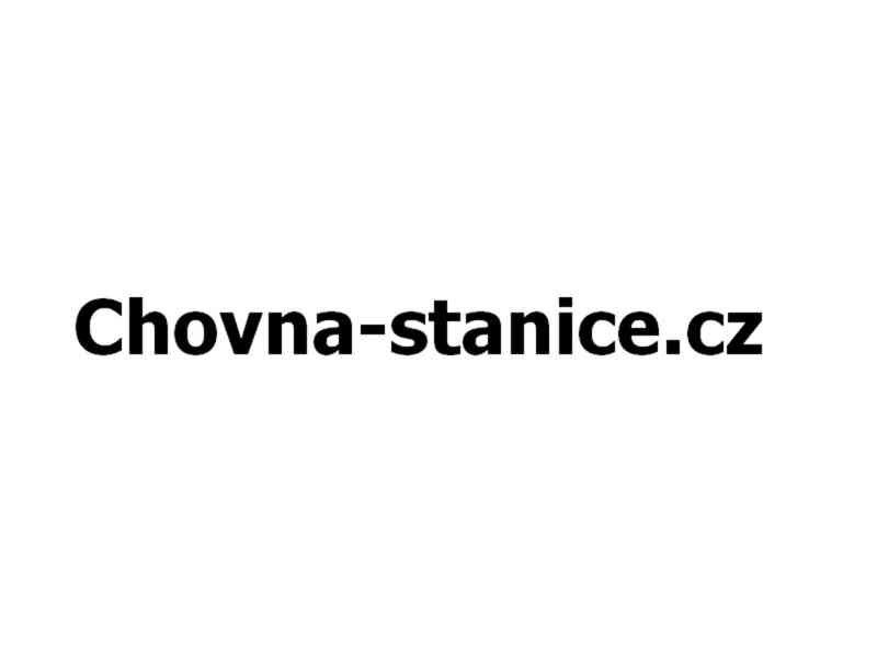 Chovna-stanice.cz - foto 1