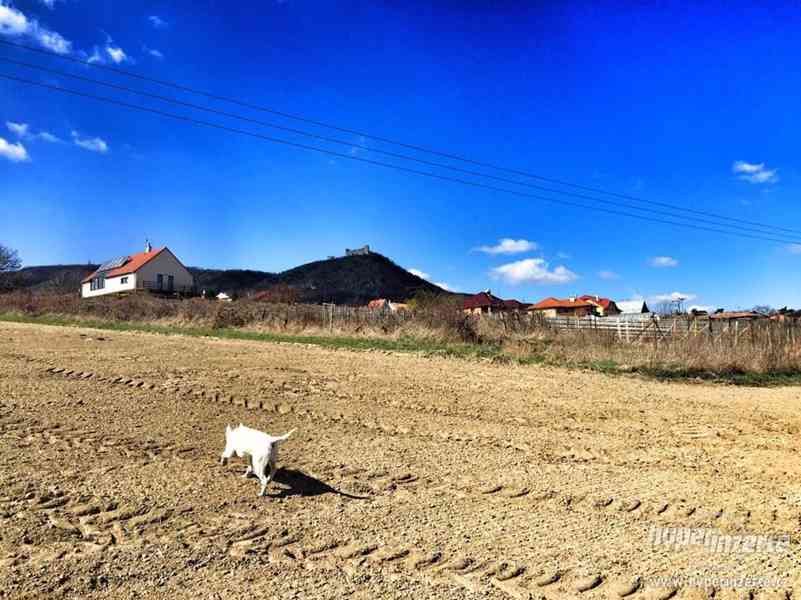 Prodej lukrativního pozemku na jižní Moravě - foto 5